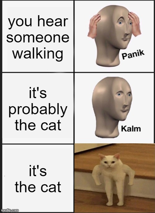 he be walkinn | you hear someone walking; it's probably the cat; it's the cat | image tagged in panik kalm panik,cat,walking,meme man | made w/ Imgflip meme maker