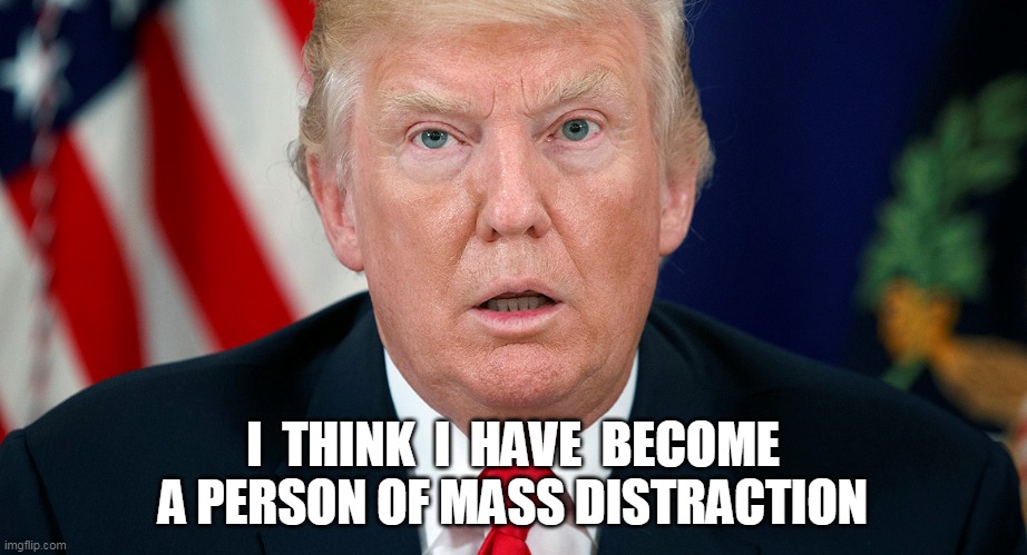 I think I am | I  THINK  I  HAVE  BECOME A PERSON OF MASS DISTRACTION | image tagged in donald trump | made w/ Imgflip meme maker