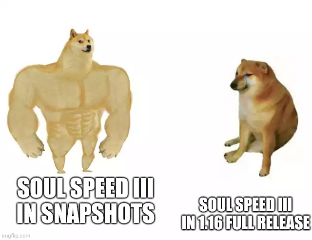 . | SOUL SPEED III
IN 1.16 FULL RELEASE; SOUL SPEED III
IN SNAPSHOTS | image tagged in buff doge vs cheems | made w/ Imgflip meme maker