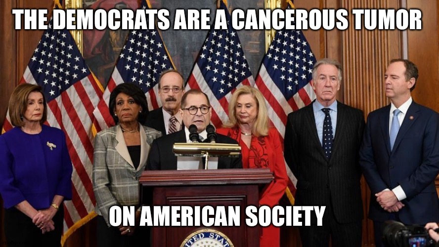 House Democrats | THE DEMOCRATS ARE A CANCEROUS TUMOR; ON AMERICAN SOCIETY | image tagged in house democrats | made w/ Imgflip meme maker