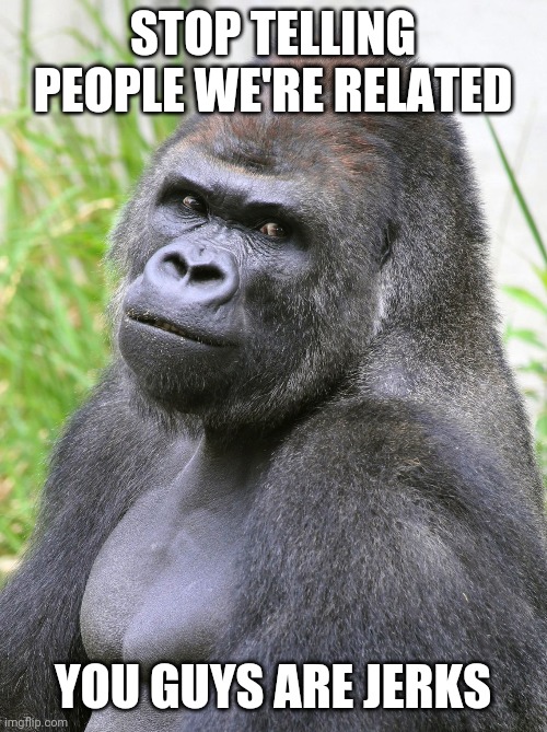 Human nature | STOP TELLING PEOPLE WE'RE RELATED; YOU GUYS ARE JERKS | image tagged in humanity | made w/ Imgflip meme maker