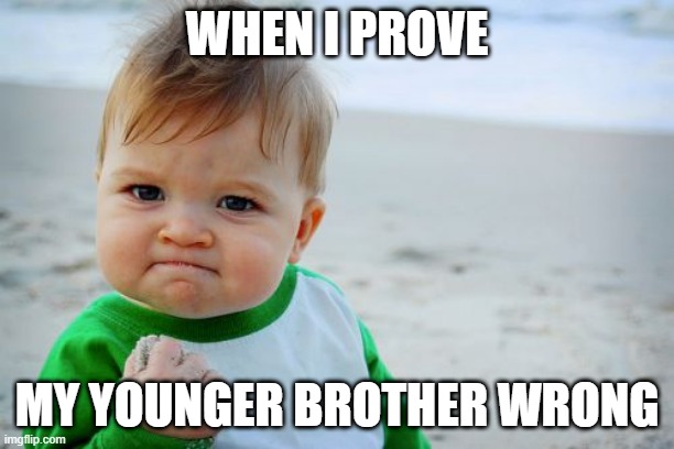 Success Kid Original Meme | WHEN I PROVE; MY YOUNGER BROTHER WRONG | image tagged in memes,success kid original | made w/ Imgflip meme maker
