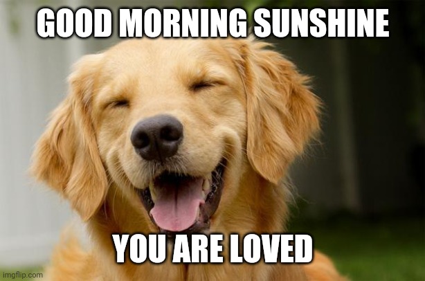 Happy Dog | GOOD MORNING SUNSHINE; YOU ARE LOVED | image tagged in happy dog | made w/ Imgflip meme maker