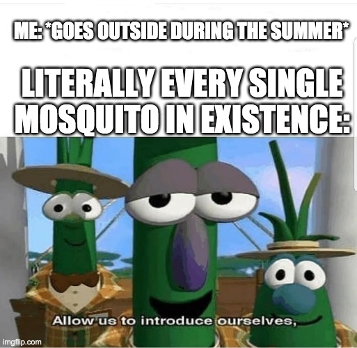 Allow us to introduce ourselves | ME: *GOES OUTSIDE DURING THE SUMMER*; LITERALLY EVERY SINGLE MOSQUITO IN EXISTENCE: | image tagged in allow us to introduce ourselves,mosquitoes | made w/ Imgflip meme maker