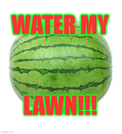 Hey kids! |  WATER MY; LAWN!!! | image tagged in watermelon,existentialism,pantheistic,simultaneous loving | made w/ Imgflip meme maker