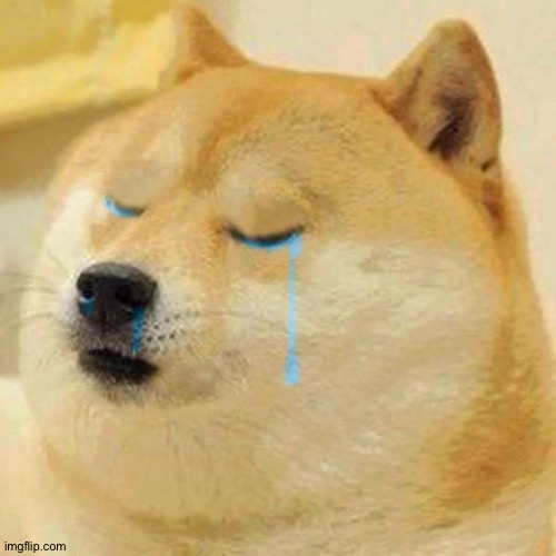 crying doge | image tagged in crying doge | made w/ Imgflip meme maker