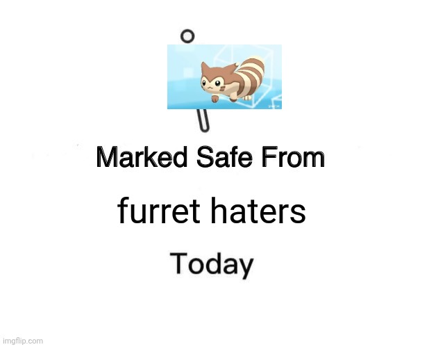 y u no like furret? |  furret haters | image tagged in memes,marked safe from | made w/ Imgflip meme maker