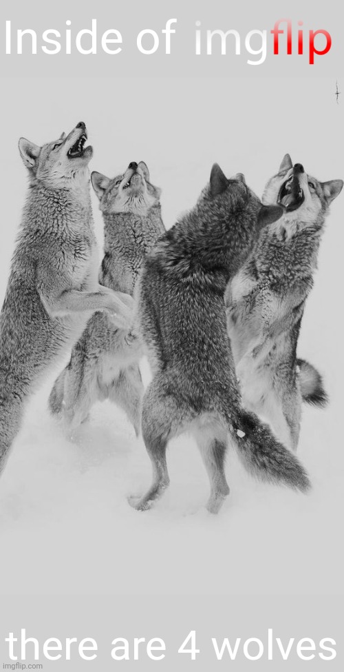 Wolf dance | Inside of there are 4 wolves | image tagged in wolf dance | made w/ Imgflip meme maker