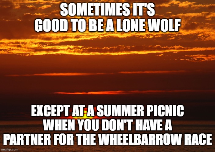 Sunset Deep Thoughts | SOMETIMES IT'S GOOD TO BE A LONE WOLF; EXCEPT AT A SUMMER PICNIC WHEN YOU DON'T HAVE A PARTNER FOR THE WHEELBARROW RACE | image tagged in sunset deep thoughts | made w/ Imgflip meme maker
