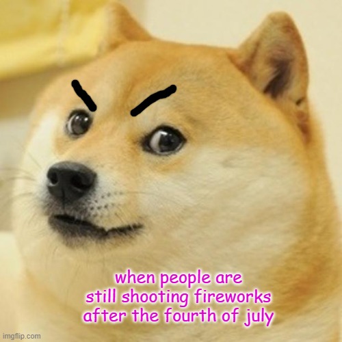 Doge | when people are still shooting fireworks after the fourth of july | image tagged in memes,doge | made w/ Imgflip meme maker