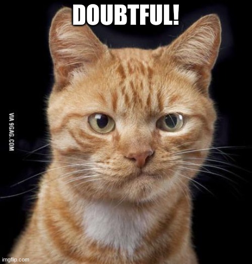 Doubting Cat | DOUBTFUL! | image tagged in doubting cat | made w/ Imgflip meme maker