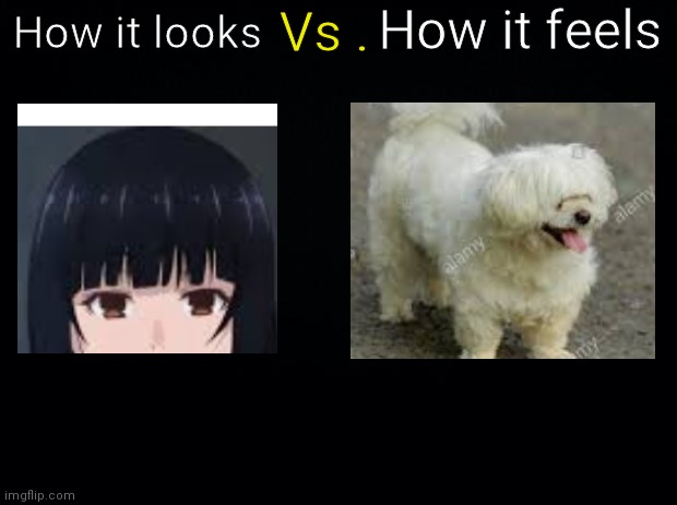 Black background | Vs . How it feels; How it looks | image tagged in black background | made w/ Imgflip meme maker