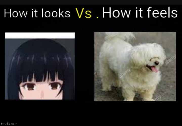 Bangs ... | image tagged in relatable | made w/ Imgflip meme maker