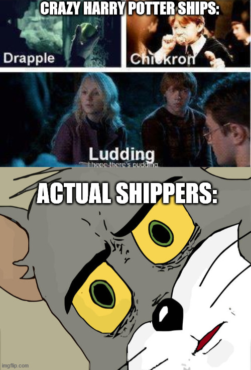 CRAZY HARRY POTTER SHIPS:; ACTUAL SHIPPERS: | image tagged in memes,unsettled tom | made w/ Imgflip meme maker