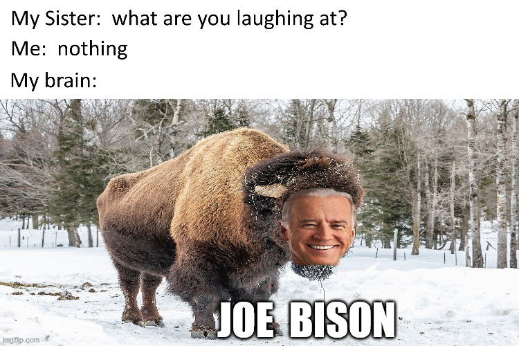 Joe "The Bison" Biden | JOE  BISON | image tagged in memes,joe biden,what are you looking at,my sister,funny,my brain | made w/ Imgflip meme maker