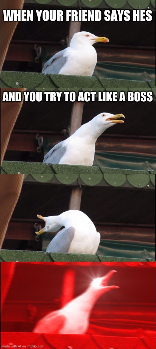 Inhaling Seagull Meme | WHEN YOUR FRIEND SAYS HES; AND YOU TRY TO ACT LIKE A BOSS | image tagged in memes,inhaling seagull | made w/ Imgflip meme maker