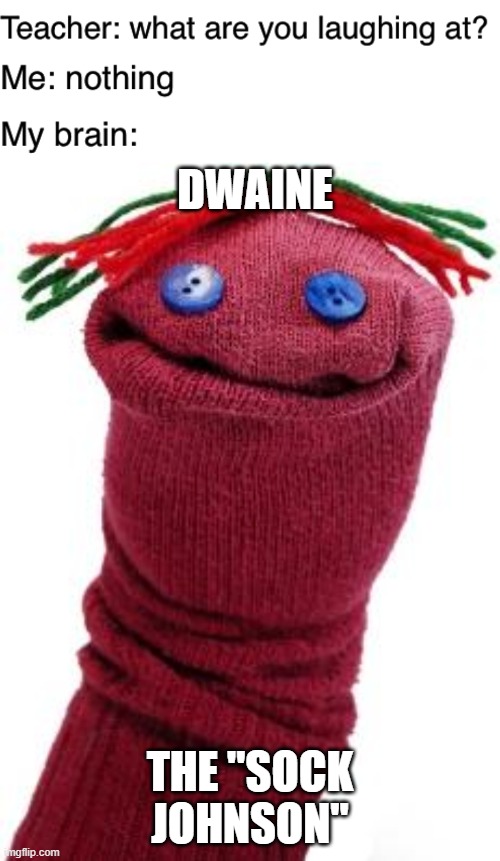 DWAINE; THE "SOCK JOHNSON" | image tagged in sock puppet,teacher what are you laughing at,dwaine johnson | made w/ Imgflip meme maker