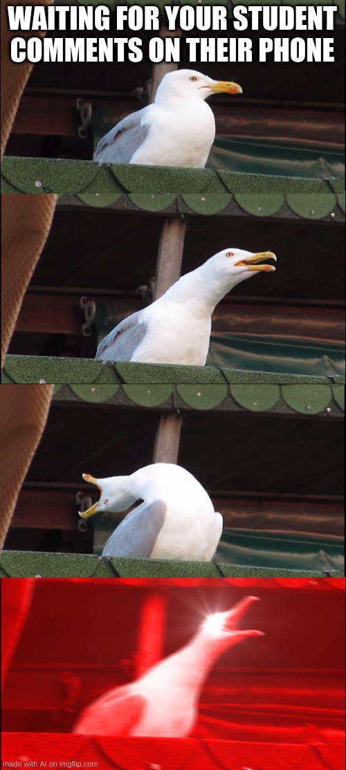 Inhaling Seagull | WAITING FOR YOUR STUDENT COMMENTS ON THEIR PHONE | image tagged in memes,inhaling seagull | made w/ Imgflip meme maker