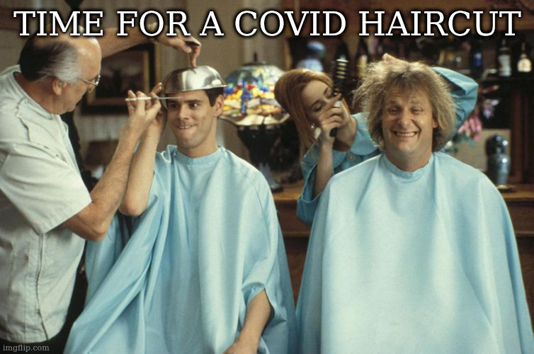 if only i could find a big enough bowl | TIME FOR A COVID HAIRCUT | image tagged in bowl,haircut,dumb | made w/ Imgflip meme maker
