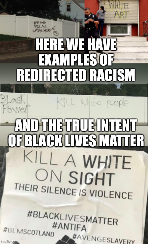 HERE WE HAVE EXAMPLES OF REDIRECTED RACISM; AND THE TRUE INTENT OF BLACK LIVES MATTER | image tagged in racism | made w/ Imgflip meme maker