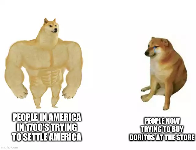 Buff vs. plz not hurt me | PEOPLE NOW TRYING TO BUY DORITOS AT THE STORE; PEOPLE IN AMERICA IN 1700'S TRYING TO SETTLE AMERICA | image tagged in buff doge vs cheems | made w/ Imgflip meme maker