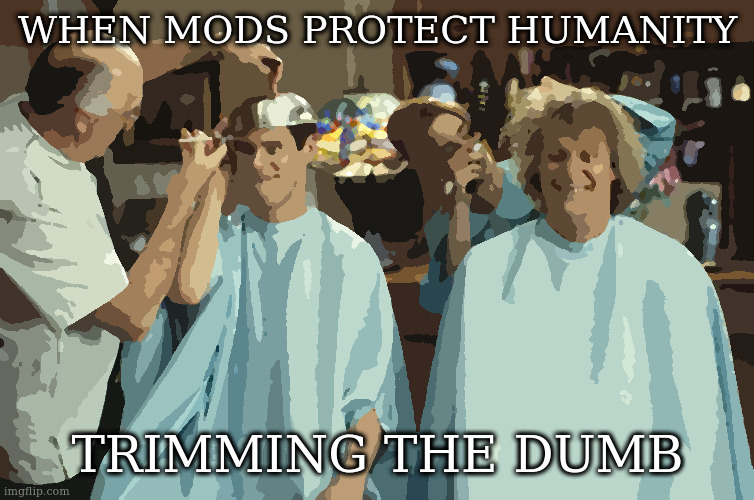 to be fair we allow a lot of dumb | WHEN MODS PROTECT HUMANITY; TRIMMING THE DUMB | image tagged in dumb haircut | made w/ Imgflip meme maker