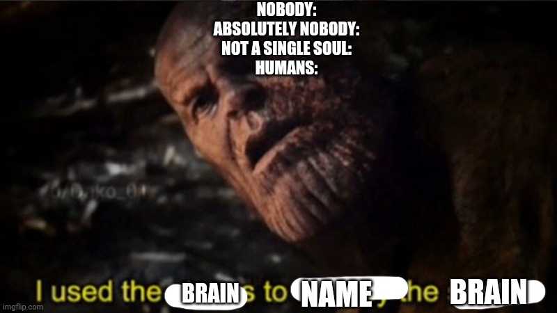 Thanos I used the stones to destroy the stones | NOBODY:
ABSOLUTELY NOBODY:
NOT A SINGLE SOUL:
HUMANS:; BRAIN; NAME; BRAIN | image tagged in thanos i used the stones to destroy the stones | made w/ Imgflip meme maker