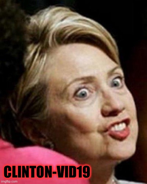 Hillary Clinton Fish | CLINTON-VID19 | image tagged in hillary clinton fish | made w/ Imgflip meme maker