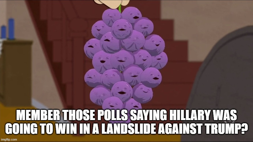 Member Berries Meme | MEMBER THOSE POLLS SAYING HILLARY WAS GOING TO WIN IN A LANDSLIDE AGAINST TRUMP? | image tagged in memes,member berries | made w/ Imgflip meme maker