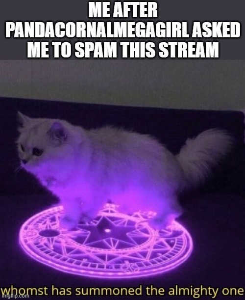 Whomst has summoned the almighty one |  ME AFTER PANDACORNALMEGAGIRL ASKED ME TO SPAM THIS STREAM | image tagged in whomst has summoned the almighty one | made w/ Imgflip meme maker