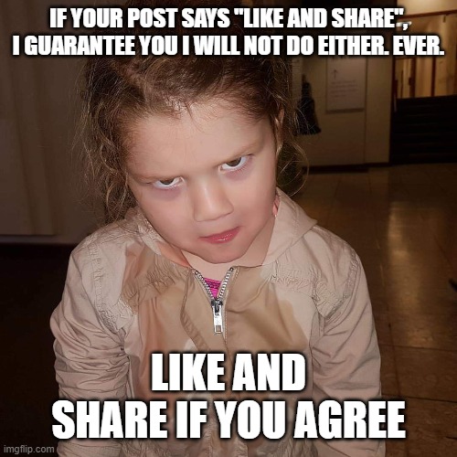 What do you mean | IF YOUR POST SAYS "LIKE AND SHARE", I GUARANTEE YOU I WILL NOT DO EITHER. EVER. LIKE AND SHARE IF YOU AGREE | image tagged in like and share,lame posts | made w/ Imgflip meme maker