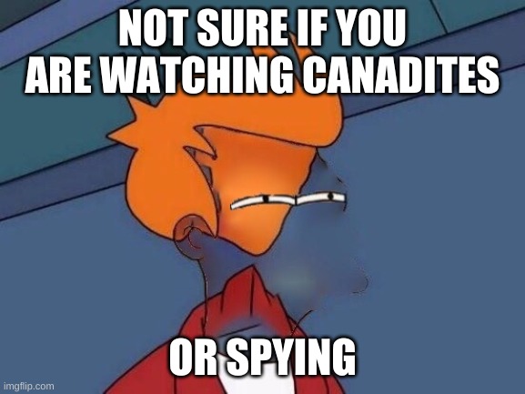 Invisible Futurama Fry Eyes | NOT SURE IF YOU ARE WATCHING CANADITES OR SPYING | image tagged in invisible futurama fry eyes | made w/ Imgflip meme maker