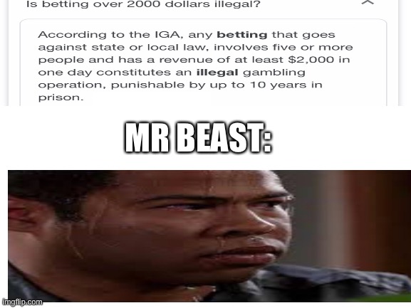 ... | MR BEAST: | image tagged in blank white template | made w/ Imgflip meme maker