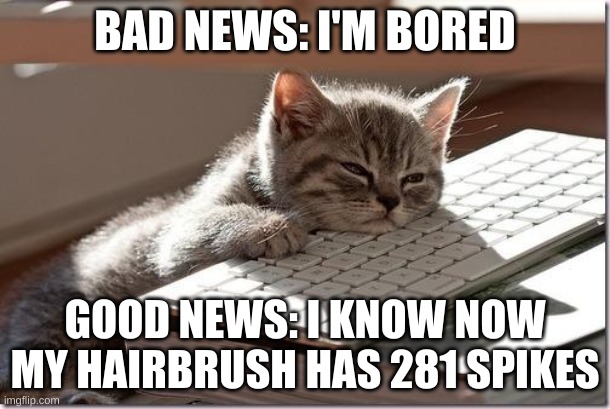 rfahwftoi84hytkaoi84hyqto8943 | BAD NEWS: I'M BORED; GOOD NEWS: I KNOW NOW MY HAIRBRUSH HAS 281 SPIKES | image tagged in bored keyboard cat,bored,boredom | made w/ Imgflip meme maker