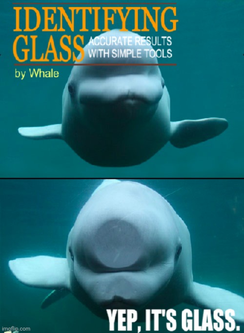 lol | image tagged in memes,tag,t a g,ta g,t ag | made w/ Imgflip meme maker