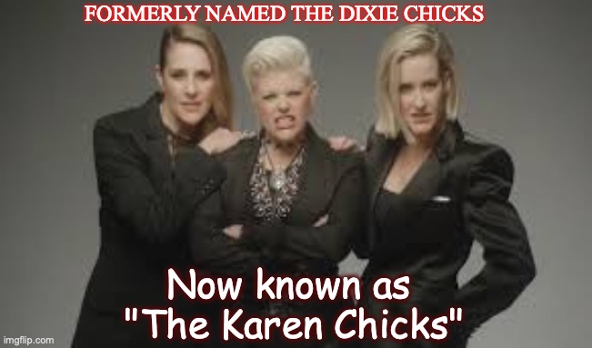 The Chicks | FORMERLY NAMED THE DIXIE CHICKS; Now known as  "The Karen Chicks" | image tagged in chicks,dixie | made w/ Imgflip meme maker