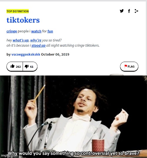 i wonder how ppl will take this definition... | image tagged in why would you say something so controversial yet so brave,tiktok,memes,funny,urban dictionary | made w/ Imgflip meme maker