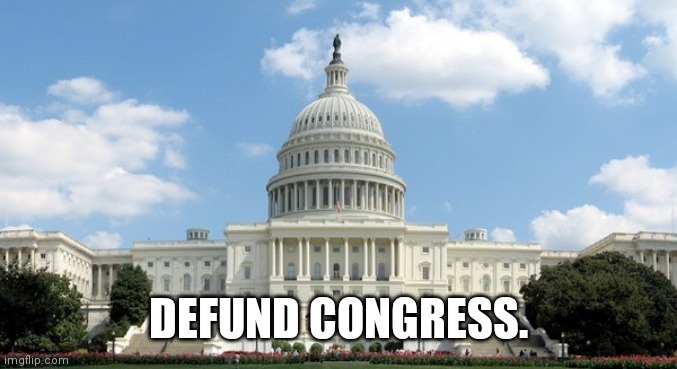 Defund congress | DEFUND CONGRESS. | image tagged in congress,2020,maga,make america great again,kayne west,election 2020 | made w/ Imgflip meme maker