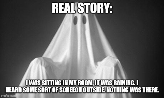 Ghost | REAL STORY:; I WAS SITTING IN MY ROOM, IT WAS RAINING. I HEARD SOME SORT OF SCREECH OUTSIDE. NOTHING WAS THERE. | image tagged in ghost | made w/ Imgflip meme maker
