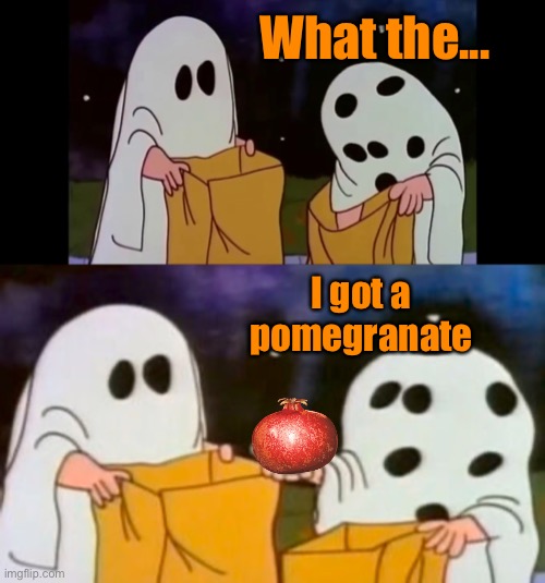 The kids just love coming to my house. | What the... I got a pomegranate | image tagged in pomegranate,thebureauofawards,halloween,charlie brown,memes,funny | made w/ Imgflip meme maker