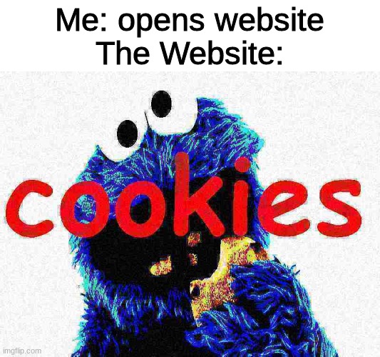 Cookie Monster | Me: opens website
The Website: | image tagged in memes,funny,cookies,cookie monster,funny memes | made w/ Imgflip meme maker