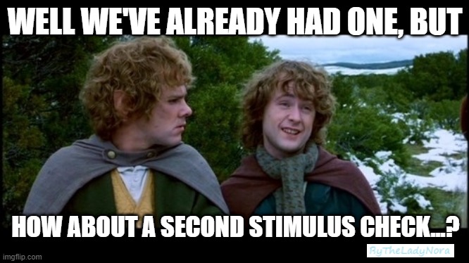 Weren't we supposed to get more than one stimulus check...? | WELL WE'VE ALREADY HAD ONE, BUT; HOW ABOUT A SECOND STIMULUS CHECK...? | image tagged in pippin second breakfast | made w/ Imgflip meme maker
