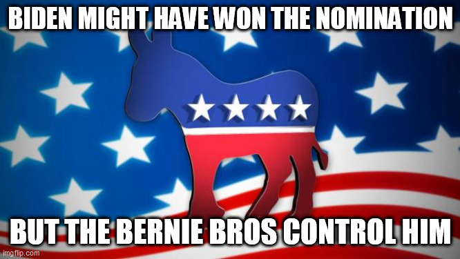 Democrats | BIDEN MIGHT HAVE WON THE NOMINATION; BUT THE BERNIE BROS CONTROL HIM | image tagged in democrats | made w/ Imgflip meme maker