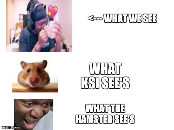 Blank White Template | <--- WHAT WE SEE; WHAT KSI SEE'S; WHAT THE HAMSTER SEE'S | image tagged in blank white template | made w/ Imgflip meme maker