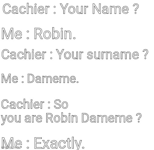 Mr.Robin Dameme | Cachier : Your Name ? Me : Robin. Cachier : Your surname ? Me : Dameme. Cachier : So you are Robin Dameme ? Me : Exactly. | image tagged in blank white template | made w/ Imgflip meme maker