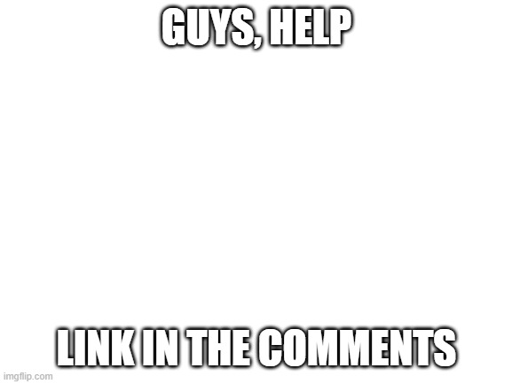 Blank White Template | GUYS, HELP; LINK IN THE COMMENTS | image tagged in blank white template | made w/ Imgflip meme maker