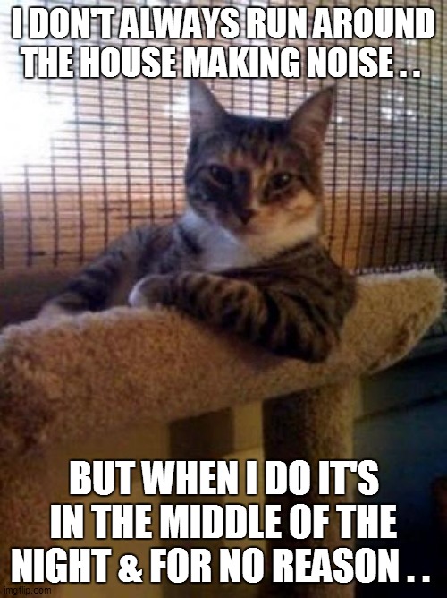 The Most Interesting Cat In The World | I DON'T ALWAYS RUN AROUND THE HOUSE MAKING NOISE . . BUT WHEN I DO IT'S IN THE MIDDLE OF THE NIGHT & FOR NO REASON . . | image tagged in funny,fun,funny memes,funny meme,lol,bad pun | made w/ Imgflip meme maker
