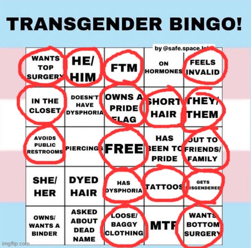 Two Bingos on a Trans Bingo | image tagged in transgender,bingo | made w/ Imgflip meme maker