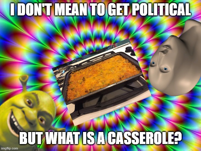 lsd | I DON'T MEAN TO GET POLITICAL; BUT WHAT IS A CASSEROLE? | image tagged in lsd | made w/ Imgflip meme maker