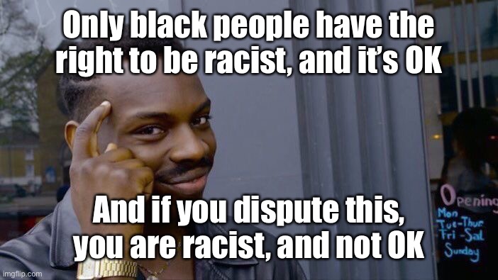 Roll Safe Think About It Meme | Only black people have the right to be racist, and it’s OK And if you dispute this, you are racist, and not OK | image tagged in memes,roll safe think about it | made w/ Imgflip meme maker